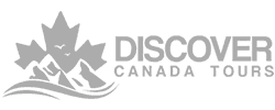 Discover Tours