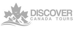 Discover Tours